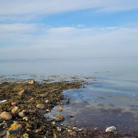 4 Person In * Martofte